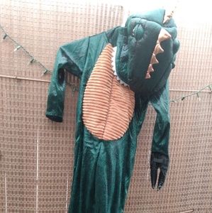 Dinosaur custume